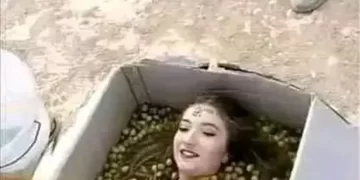 اطقوس غريبة لجذب العريس في بلاد الشام ,,, لاستلقاء فوق حبات الزيتون