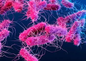 تحذيـــر من “مضاد حيوي” ينتج بكتيريا غير قابلة للعلاج