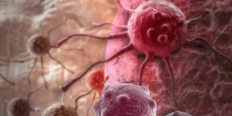 إستراتيجية جديدة لعلاج السرطان