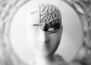 روتين العمل والحياة اليومية وتأثيرها على بنية الدماغ ونفسية الإنسان