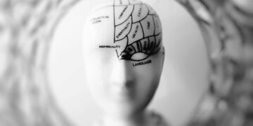 روتين العمل والحياة اليومية وتأثيرها على بنية الدماغ ونفسية الإنسان