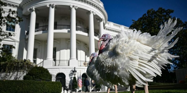 بايدن يعفو عن ديكين روميين في آخر احتفالاته بعيد الشكر