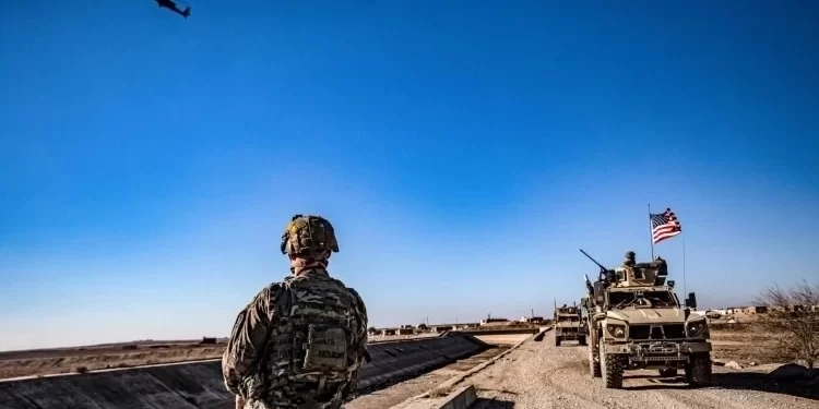 عين الأسد في حالة تأهب قصوى