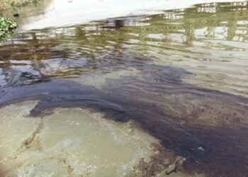 برك زيتية في نهر دجلة