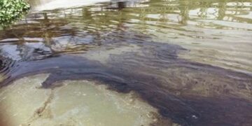 برك زيتية في نهر دجلة