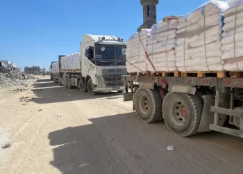 عصابات مسلحة تسرق أكثر من 100 شاحنة مساعدات وحماس تقتل أكثر من 20 لصا فلسطينيا