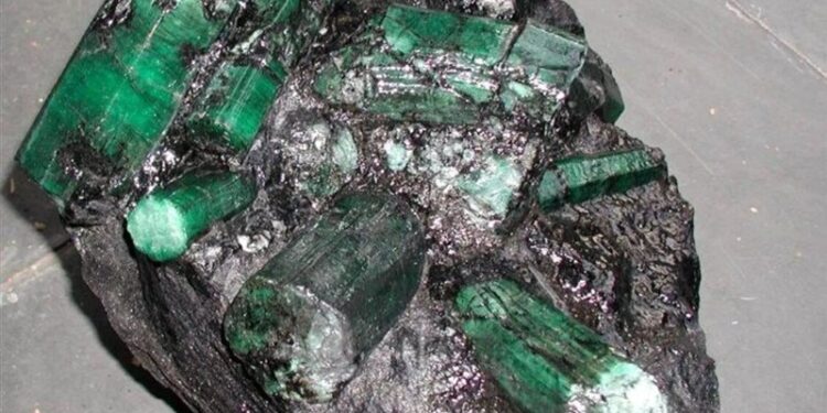 الولايات المتحدة تعيد زمردة ملعونة إلى البرازيل