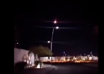 الاردن.. جسم طائر سقط في العقبة
