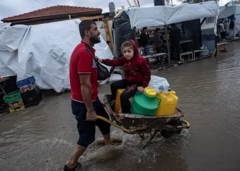 غزة.. نحو مليون شخص بغزة ليس لديهم سكن ملائم للشتاء