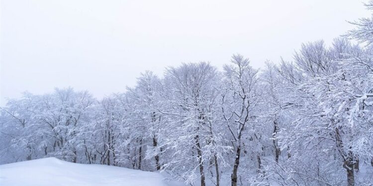 موجة صقيع قوية تضرب اليابان