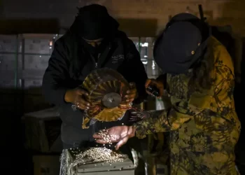 سوريا.. العثور على “مواد كيميائية بريطانية” في مصنع كبتاغون  بدمشق