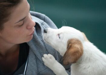 محاولة للــ “التحـــدث” مع الحيوانات بواسطة الذكاء الاصطناعي