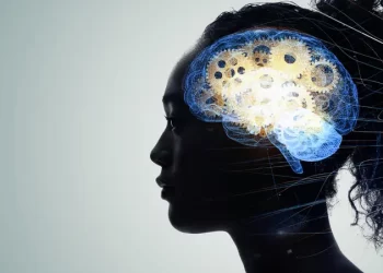 نظام غذائي يُحسن الذاكرة من خلال تغييرات “ميكروبيوم” الأمعاء