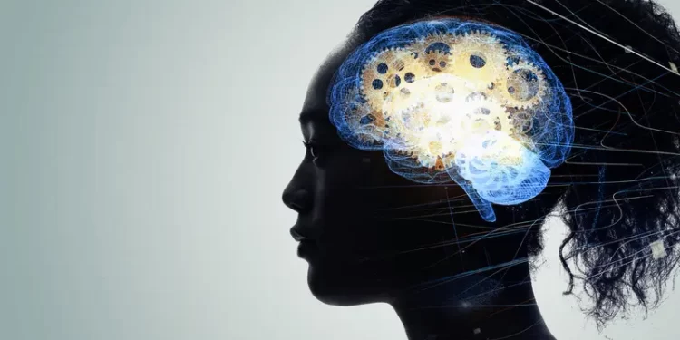 نظام غذائي يُحسن الذاكرة من خلال تغييرات “ميكروبيوم” الأمعاء