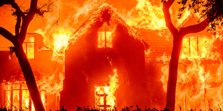 لا يمكن لأي “نظام مياه في العالم” التعامل مع حرائق لوس أنجلوس