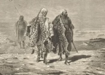 النمر العربي: جوهرة الجزيرة العربية المهددة بالانقراض