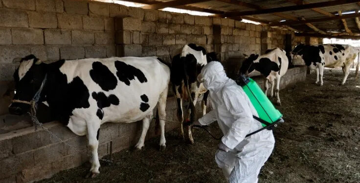 الحمى القلاعية تنتشر في بغداد