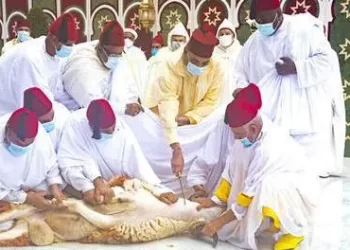 دعوة لوقف الذبح في عيد الأضحى هذا العام