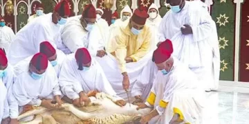دعوة لوقف الذبح في عيد الأضحى هذا العام
