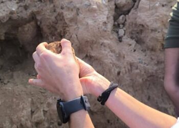 المباشرة بمسح المواقع الأثرية جنوب سامراء من قبل بعثة إيطالية