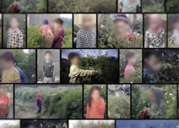 تقرير يكشف ارتباط صناعة العطور الفاخرة بعمالة الأطفال