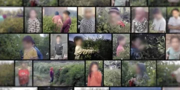 تقرير يكشف ارتباط صناعة العطور الفاخرة بعمالة الأطفال