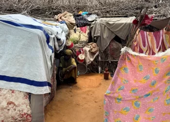 السودان.. أطباء بلا حدود تعلق أنشطتها بمخيم زمزم بسبب القتال العنيف
