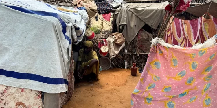 السودان.. أطباء بلا حدود تعلق أنشطتها بمخيم زمزم بسبب القتال العنيف