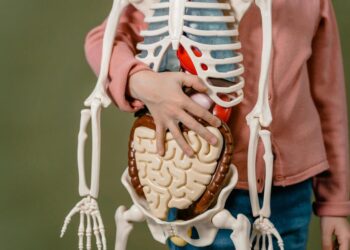 بين الوهب والزرع… قصة جديدة عنوانها الأمل