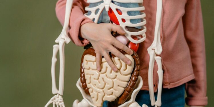 بين الوهب والزرع… قصة جديدة عنوانها الأمل