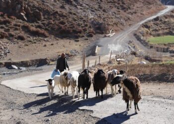 كيف يقضي البدو الرحل رمضان في صحراء المغرب؟