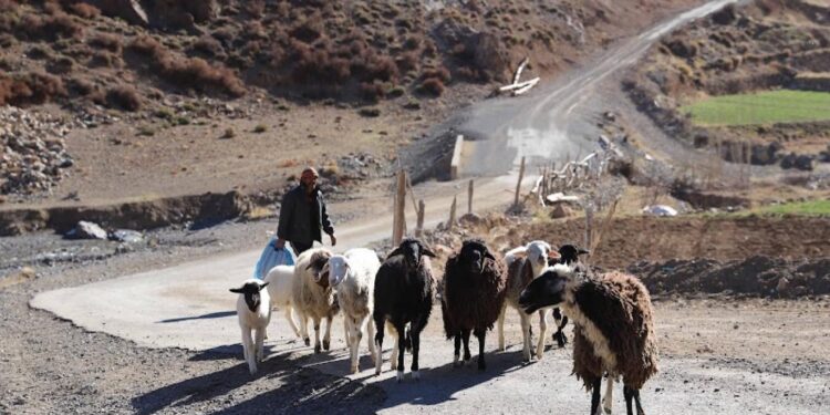 كيف يقضي البدو الرحل رمضان في صحراء المغرب؟