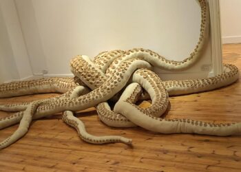 الفن يتقاطع مع العمل المنزلي في معرض “بالحب”