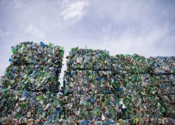 الوجه المظلم لتجارة النفايات العابرة للحدود