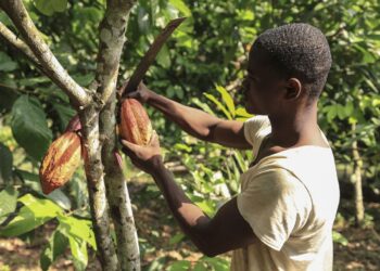 خبر سيئ لعشاق الشوكولاتة