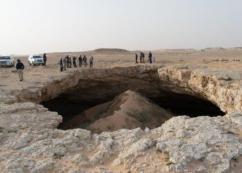 قبل 8 ملايين عام صحراء السعودية كانت “واحة خضراء”