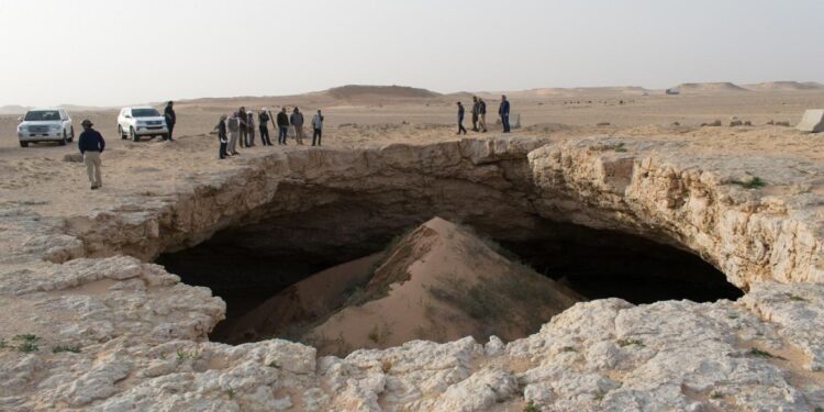 قبل 8 ملايين عام صحراء السعودية كانت “واحة خضراء”