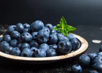 7 فوائد صحية لتناول التوت الأزرق