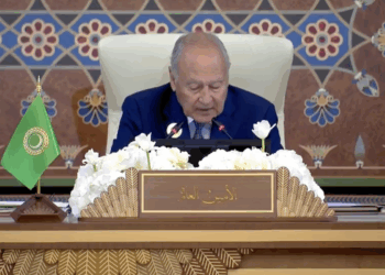 أبو الغيط يهاجم “الحوثي” ويؤشر تهديدات وجودية لبعض الدول العربية