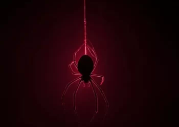 عنكبوت “مُعدّل جينياً” ينسج حريراً متوهجاً… لأول مرة في التاريخ