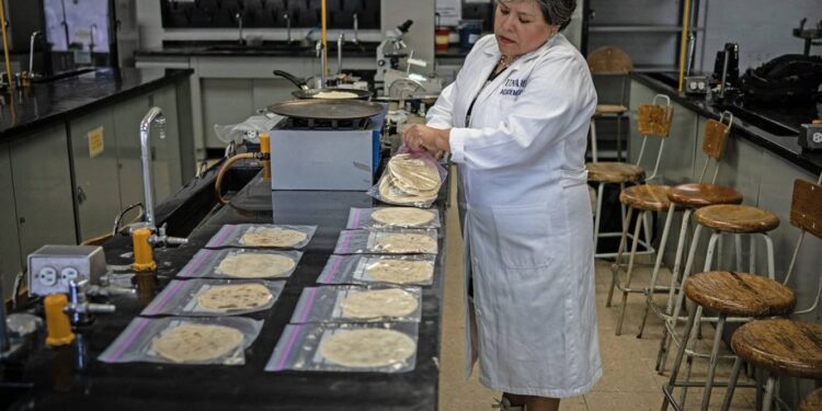 ابتكار خبز “تورتيا” يحفظ من دون ثلاجات