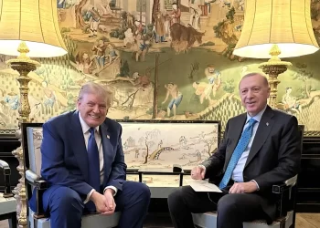 اردوغان.. ترامب سيُشارك في أي محادثات نستضيفها حول أوكرانيا إذا حضر بوتين
