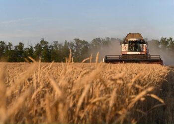 أفغانستان تتجه لروسيا طلبا لإمدادات غذائية