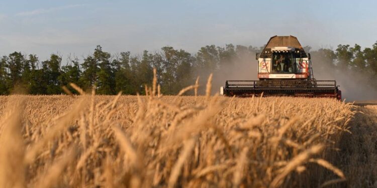 أفغانستان تتجه لروسيا طلبا لإمدادات غذائية