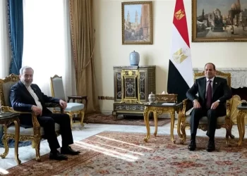 السيسي يلتقي عراقجي ويؤكد ضرورة وقف التصعيد في المنطقة