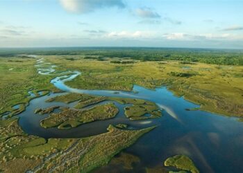 فلوريدا.. مشروع سجن مهاجرين يثير جدلاً,,, “تماسيح وثعابين بدل الحراس”
