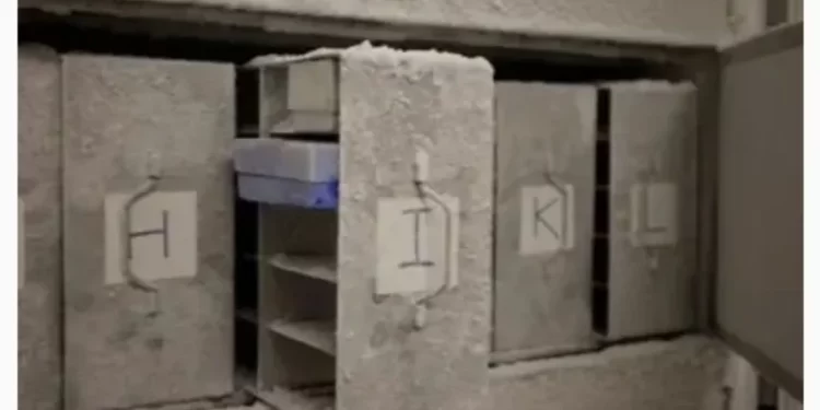 سويسرا.. قبـــــو يوم القيامة لحماية ميكروبات البشر من الانقراض