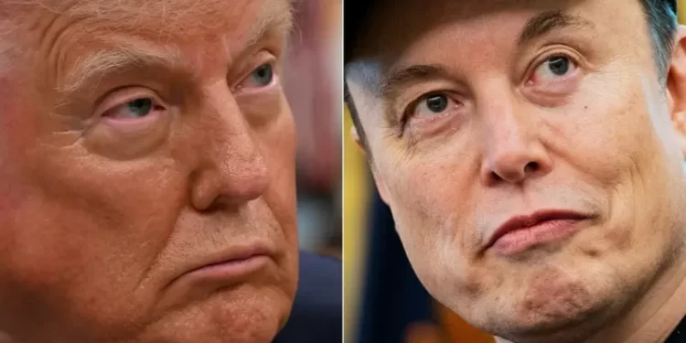 ماسك.. نادم على بعض منشوراتي عن ترامب