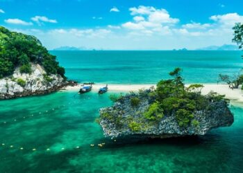 خضرة المحيطات تزداد بالقطبين وتقل قرب خط الاستواء