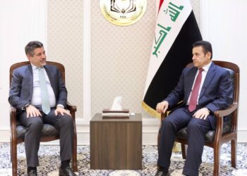 مستشار الأمن القومي يستقبل القائم بالأعمال الأمريكي